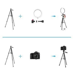 Aro De Luz LED 12" Con Trípode y Portacelular, Iluminación En 3 Colores, Compatible Con Andorid y iPhone - Imagen 4